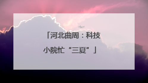 河北曲周：科技小院忙“三夏”