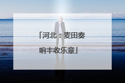 河北：麦田奏响丰收乐章