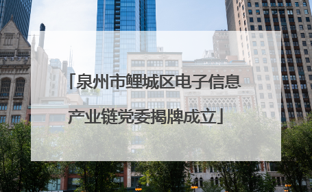 泉州市鲤城区电子信息产业链党委揭牌成立