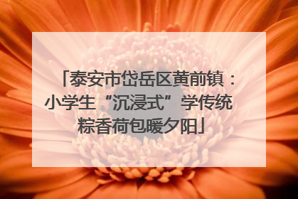 泰安市岱岳区黄前镇：小学生“沉浸式”学传统 粽香荷包暖夕阳