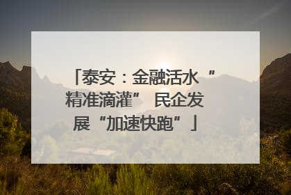 泰安：金融活水“精准滴灌” 民企发展“加速快跑”