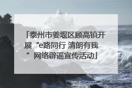 泰州市姜堰区顾高镇开展“e路同行 清朗有我”网络辟谣宣传活动