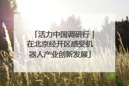 活力中国调研行｜在北京经开区感受机器人产业创新发展