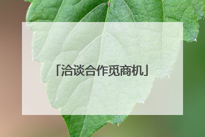 洽谈合作觅商机
