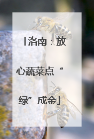 洛南：放心蔬菜点“绿”成金