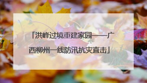 洪峰过境重建家园——广西柳州一线防汛抗灾直击