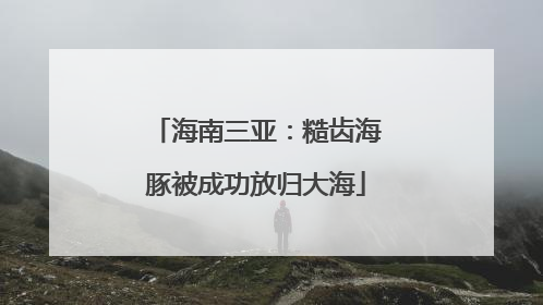 海南三亚：糙齿海豚被成功放归大海