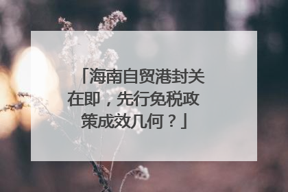 海南自贸港封关在即，先行免税政策成效几何？