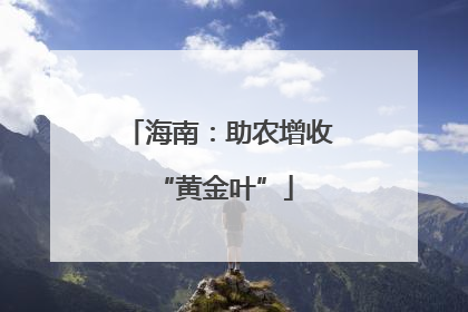 海南：助农增收 “黄金叶”