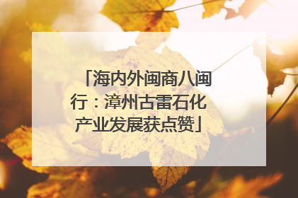 海内外闽商八闽行：漳州古雷石化产业发展获点赞