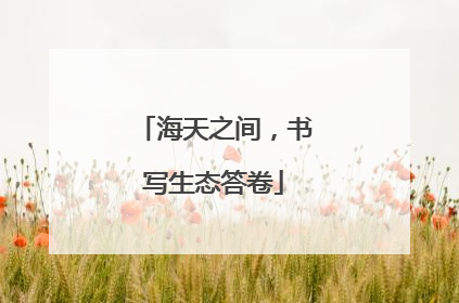 海天之间，书写生态答卷