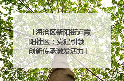 海沧区新阳街道霞阳社区：党建引领 创新传承激发活力
