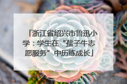 浙江省绍兴市鲁迅小学：学生在“孺子牛志愿服务”中历练成长
