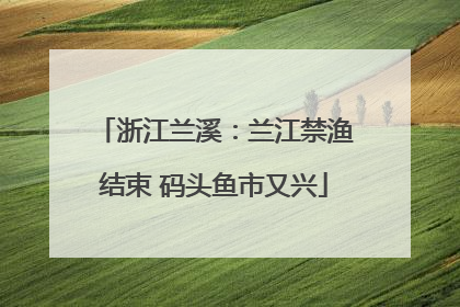 浙江兰溪：兰江禁渔结束 码头鱼市又兴