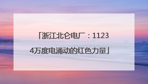 浙江北仑电厂：11234万度电涌动的红色力量