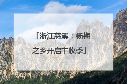 浙江慈溪：杨梅之乡开启丰收季