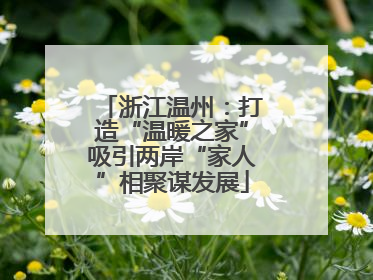 浙江温州：打造“温暖之家”吸引两岸“家人”相聚谋发展