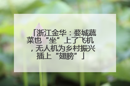 浙江金华：婺城蔬菜也“坐”上了飞机，无人机为乡村振兴插上“翅膀”