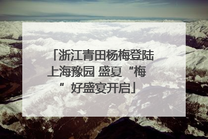 浙江青田杨梅登陆上海豫园 盛夏“梅”好盛宴开启