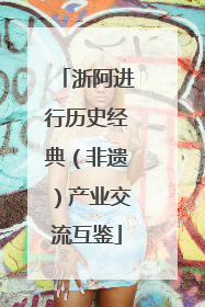 浙阿进行历史经典（非遗）产业交流互鉴