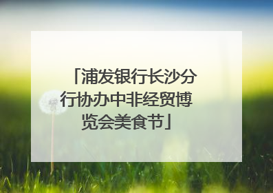 浦发银行长沙分行协办中非经贸博览会美食节