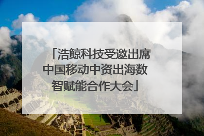 浩鲸科技受邀出席中国移动中资出海数智赋能合作大会