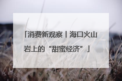 消费新观察丨海口火山岩上的“甜蜜经济”