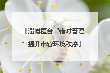 淄博桓台“错时管理”提升市容环境秩序