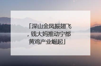 深山金凤振翅飞，钱大妈推动宁都黄鸡产业崛起
