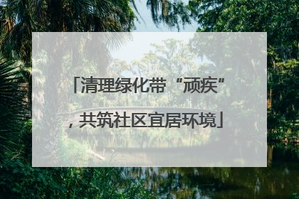 清理绿化带“顽疾”，共筑社区宜居环境