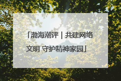 渤海潮评｜共建网络文明 守护精神家园