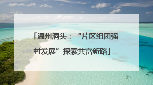 温州洞头：“片区组团强村发展”探索共富新路