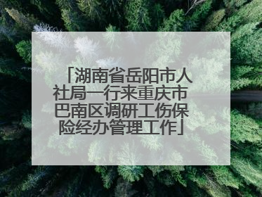 湖南省岳阳市人社局一行来重庆市巴南区调研工伤保险经办管理工作