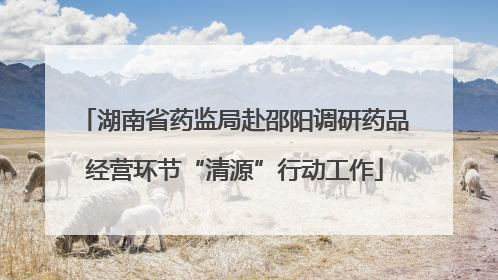 湖南省药监局赴邵阳调研药品经营环节“清源”行动工作