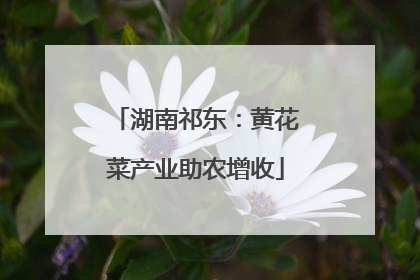 湖南祁东：黄花菜产业助农增收