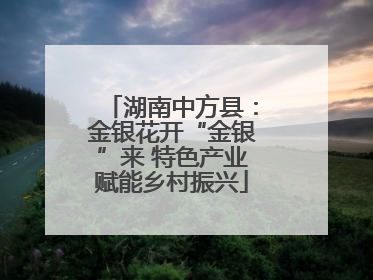 湖南中方县：金银花开“金银”来 特色产业赋能乡村振兴