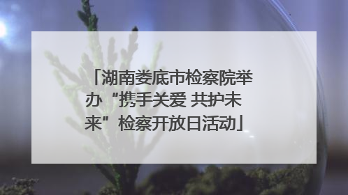 湖南娄底市检察院举办“携手关爱 共护未来”检察开放日活动