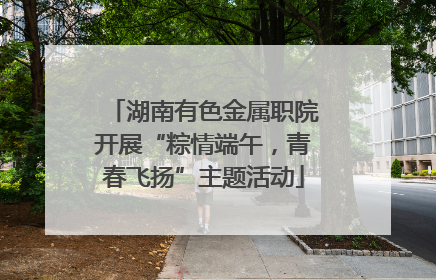 湖南有色金属职院开展“粽情端午，青春飞扬”主题活动
