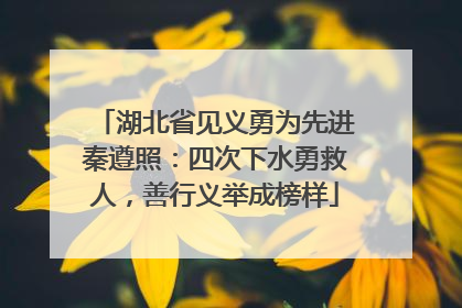 湖北省见义勇为先进秦遵照：四次下水勇救人，善行义举成榜样