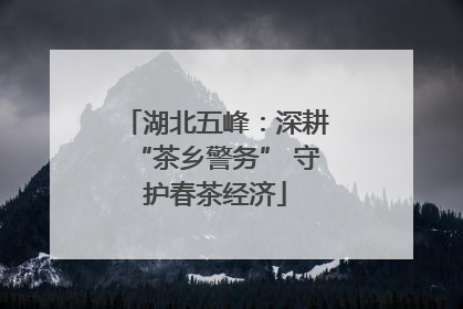 湖北五峰：深耕“茶乡警务” 守护春茶经济