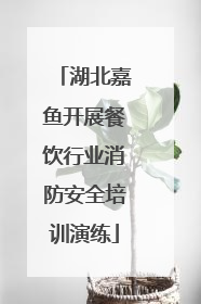 湖北嘉鱼开展餐饮行业消防安全培训演练