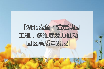 湖北嘉鱼：锚定满园工程，多维度发力推动园区高质量发展