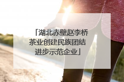 湖北赤壁赵李桥茶业创建民族团结进步示范企业
