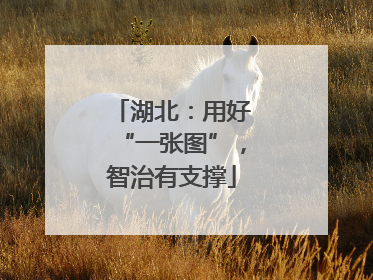 湖北：用好“一张图”，智治有支撑