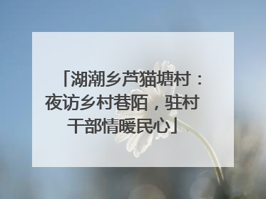 湖潮乡芦猫塘村：夜访乡村巷陌，驻村干部情暖民心