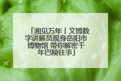 湘见万年丨文博数字讲解员现身岳阳市博物馆 带你解密千年巴陵往事