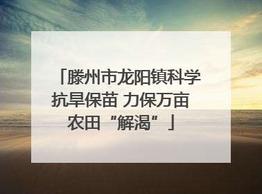 滕州市龙阳镇科学抗旱保苗 力保万亩农田“解渴”