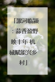 漯河临颍：蒜香盈野映丰年 机械赋能兴乡村