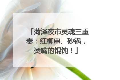菏泽夜市灵魂三重奏：红柳串、砂锅，烫嘴的馄饨！