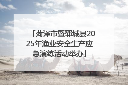 菏泽市暨郓城县2025年渔业安全生产应急演练活动举办
